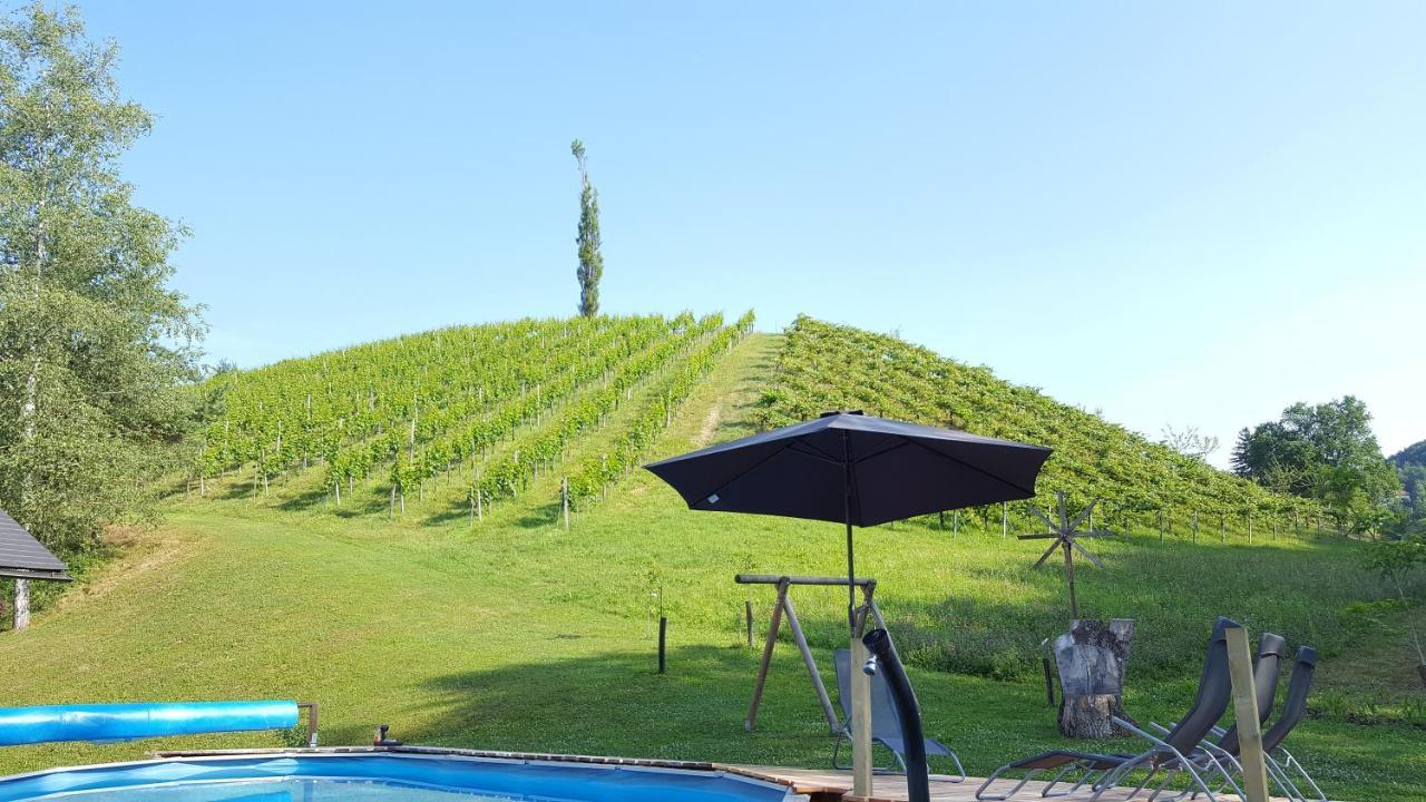Hotel Weingut Lieschnegg Leutschach Exteriér fotografie
